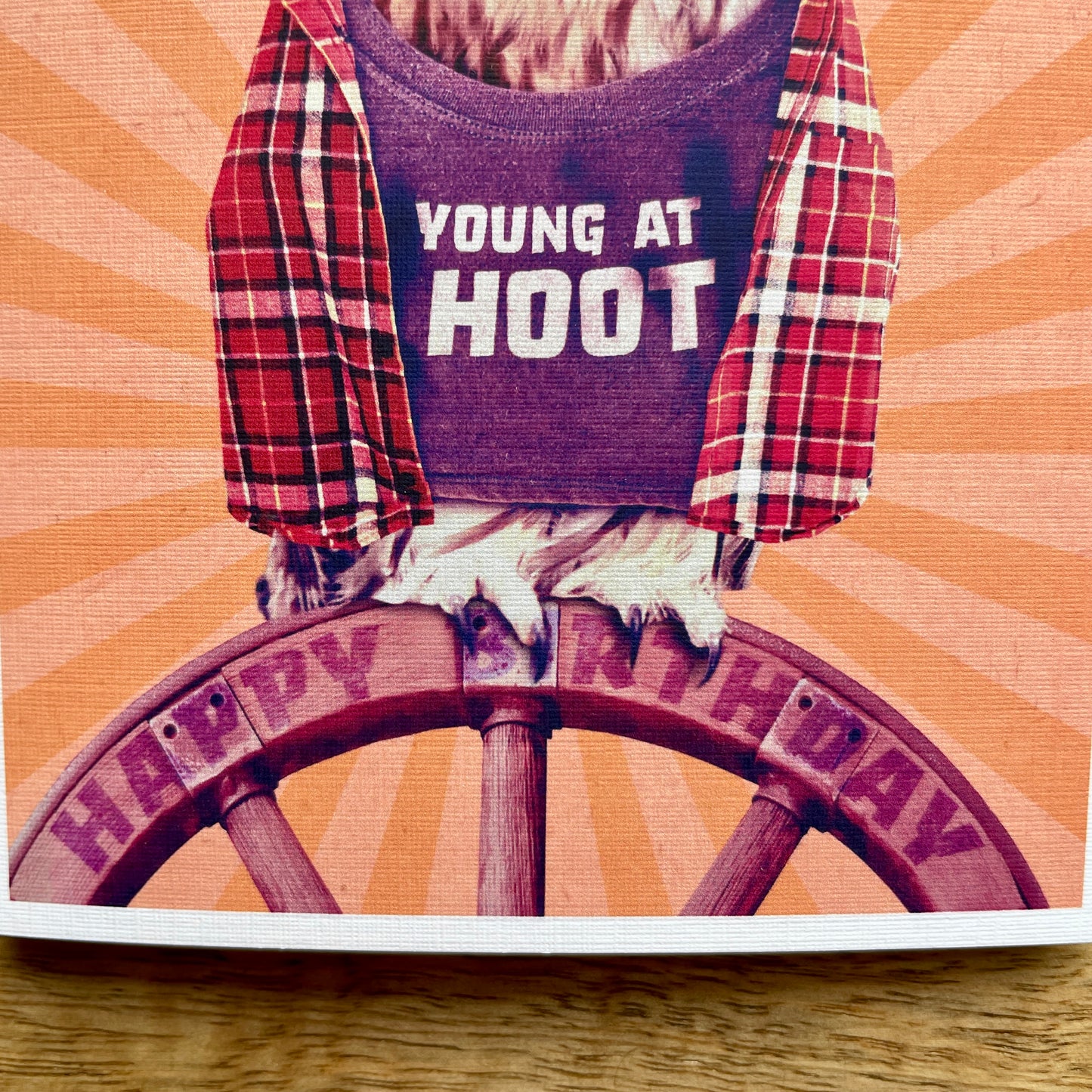 Young at Hoot Owl funny quirky birthday card