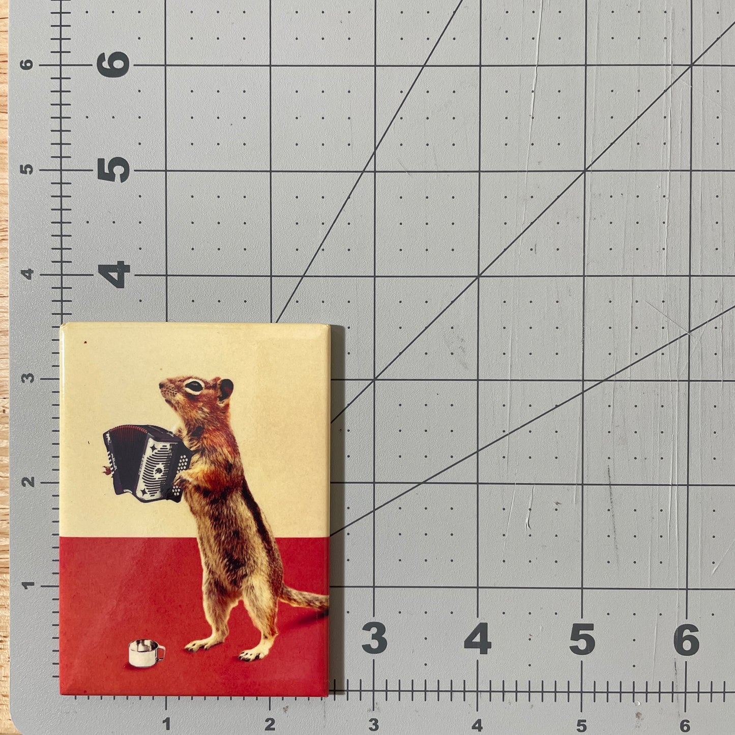 Accordion Squirrel funny rectangle magnet