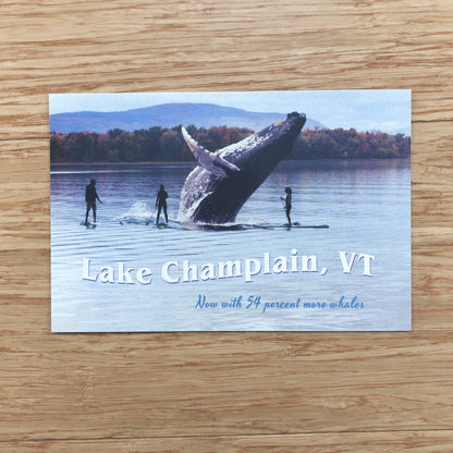 Vermont Lake Champlain Whales Postcard