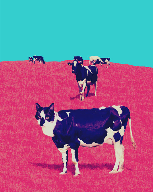 Cow Cat funny quirky art print