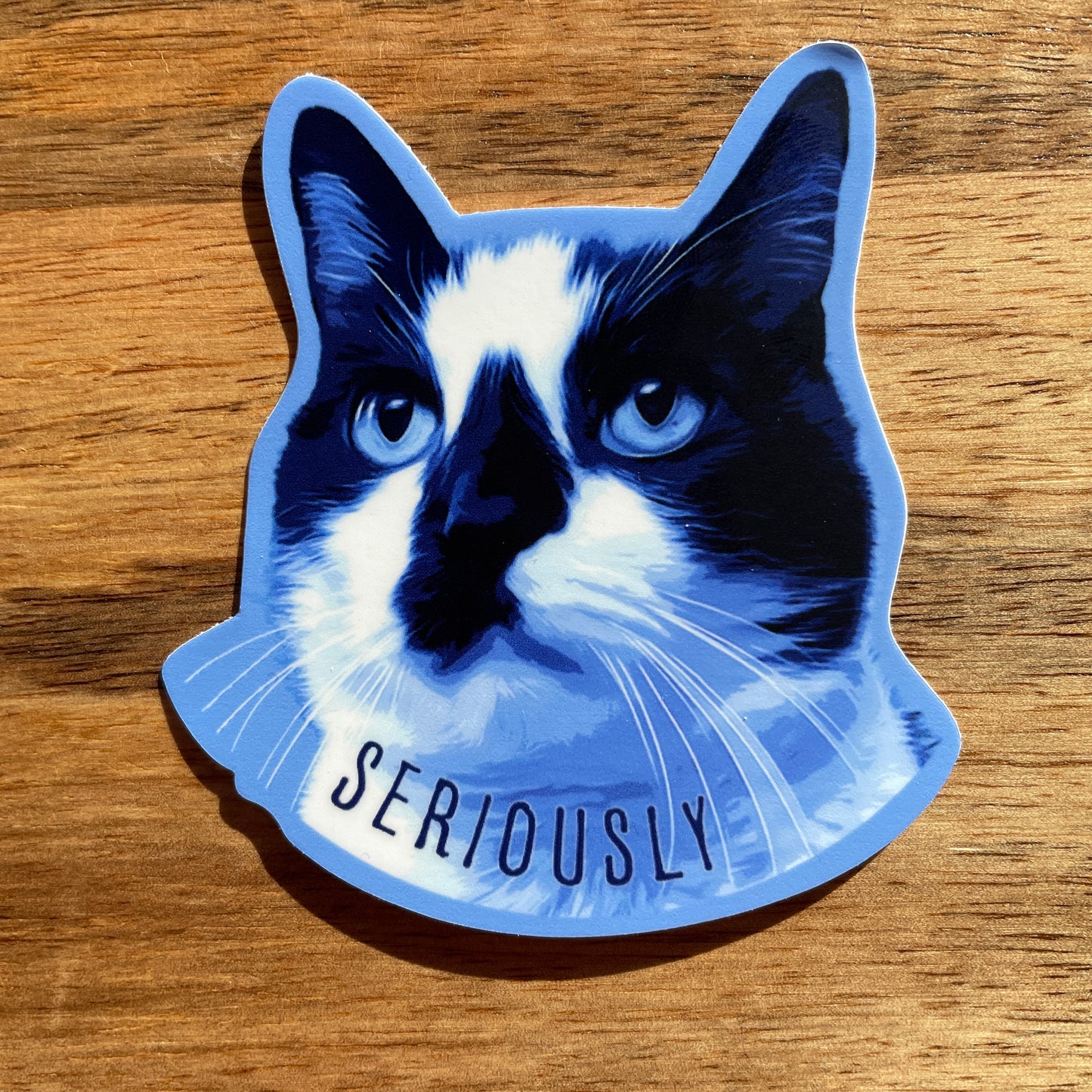Serious Cat funny animal sticker