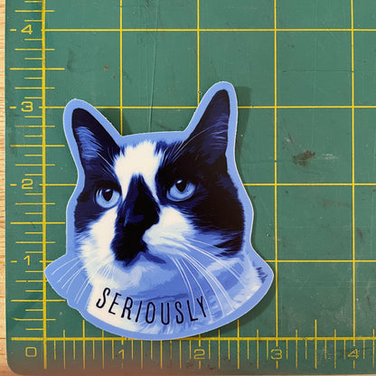 Serious Cat funny animal sticker