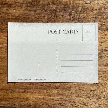 Vermont Bookstack postcard