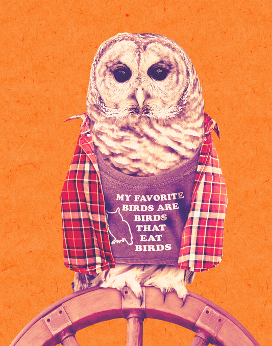 "My favorite birds are birds that eat birds" Barred Owl funny art print