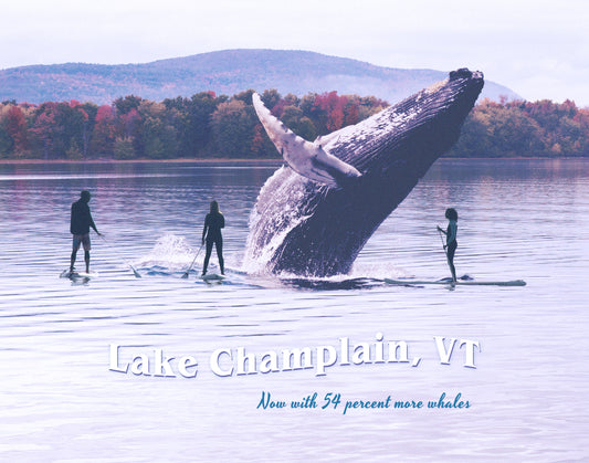 Lake Champlain Whales funny art print