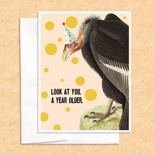 Vulture Birthday funny bird greeting card