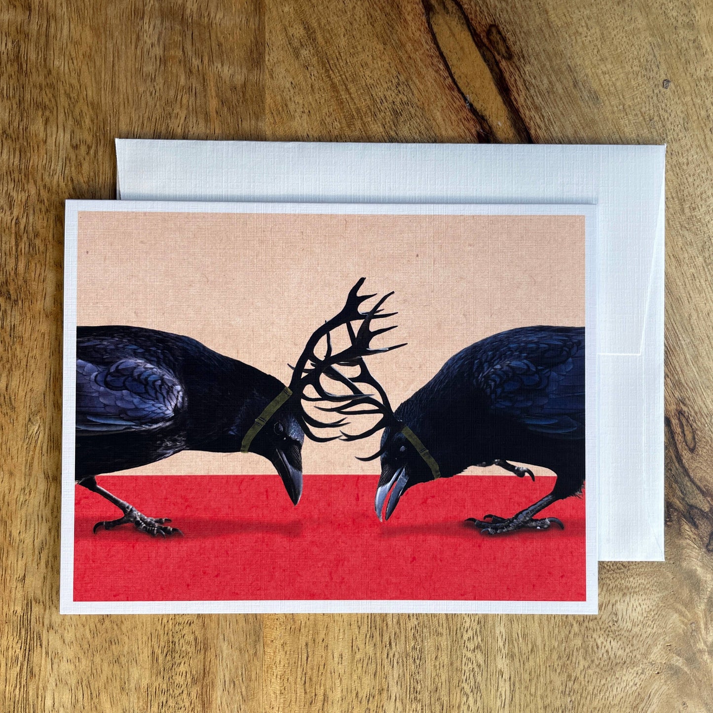 Crow Fight funny quirky bird greeting card
