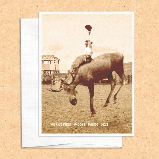 Moose Rodeo funny animal greeting card