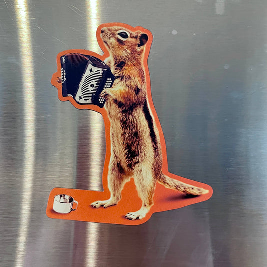 Accordion Squirrel funny magnet