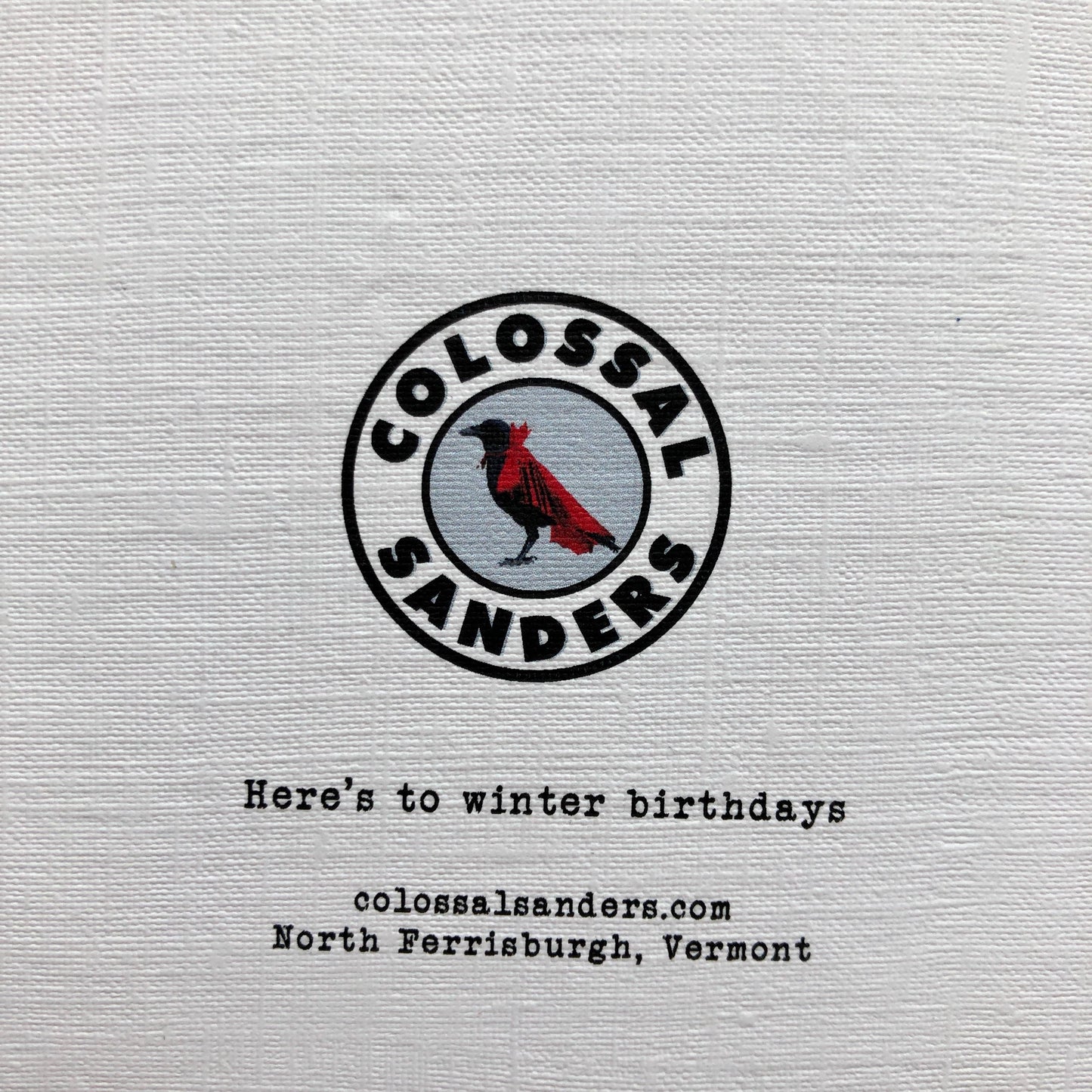 Bear Winter Birthday funny animal greeting card