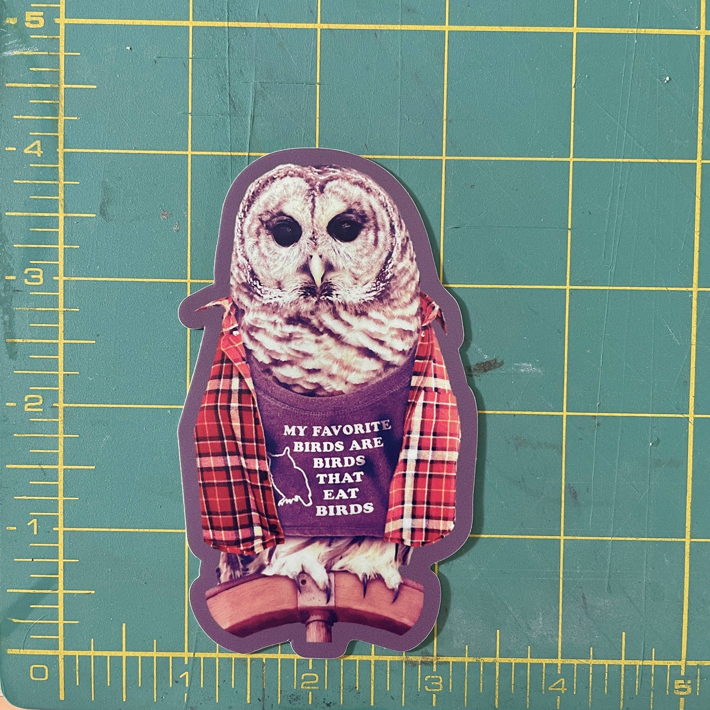 Barred Owl funny bird sticker