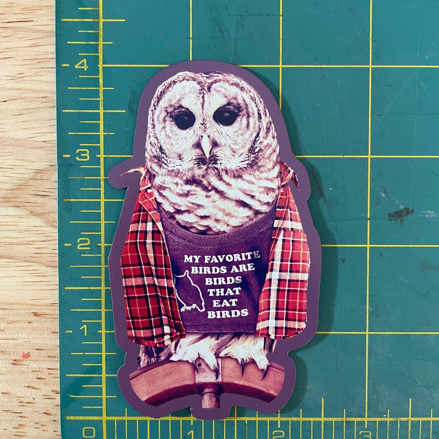 Barred Owl funny bird magnet